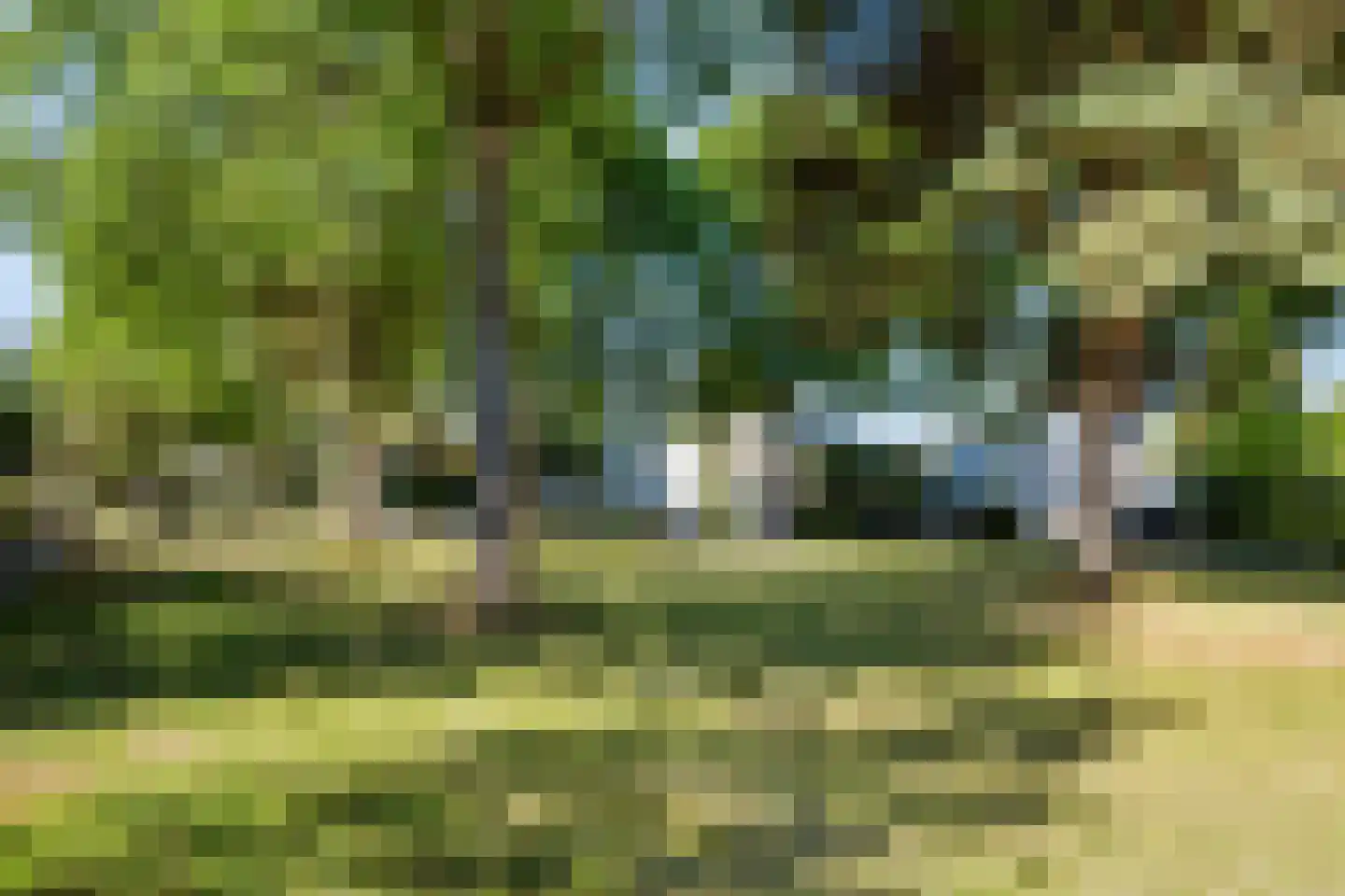 Houttuinen-Zuid 8 Apeldoorn thumbnail 8