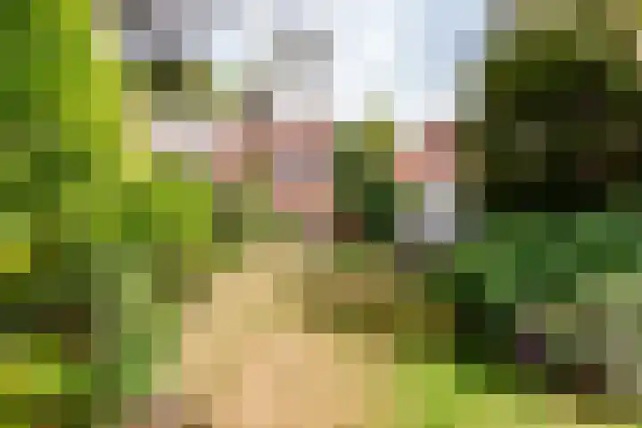 Houtvaartkade 13 Aerdenhout thumbnail 4