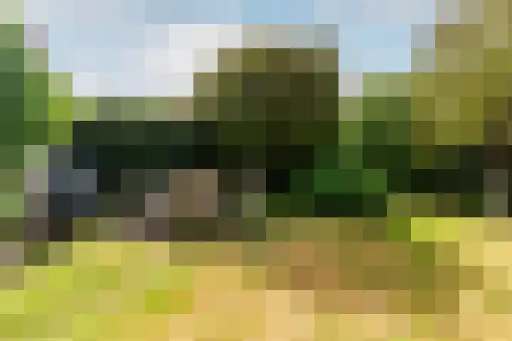 Houtvaartkade 13 Aerdenhout thumbnail 5