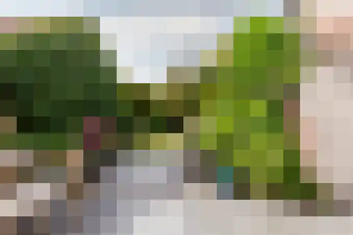 Houtvaartkade 13 Aerdenhout thumbnail 6