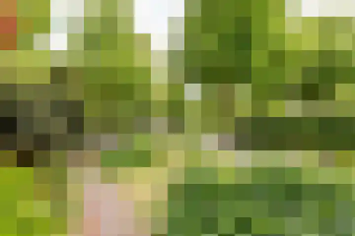 Houtvaartkade 13 Aerdenhout thumbnail 8