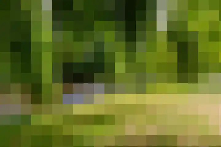 Houtvaartkade 13 Aerdenhout thumbnail 9