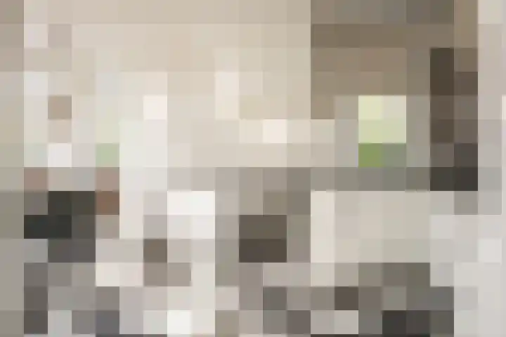 Houtvaartkade 36 Aerdenhout thumbnail 10
