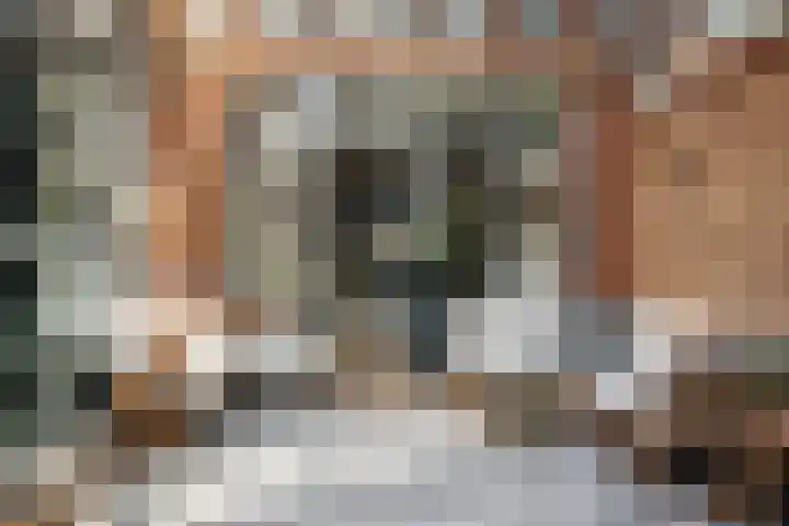 Houtvaartkade 36 Aerdenhout thumbnail 15
