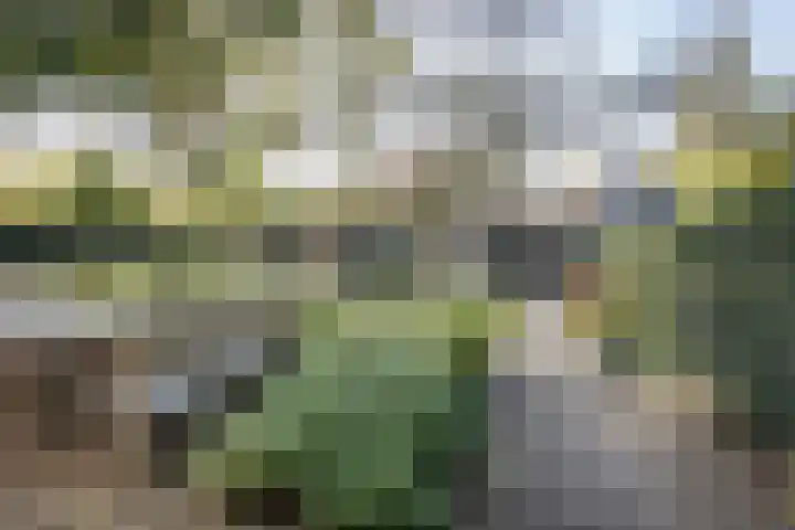 Houtvaartkade 36 Aerdenhout thumbnail 20