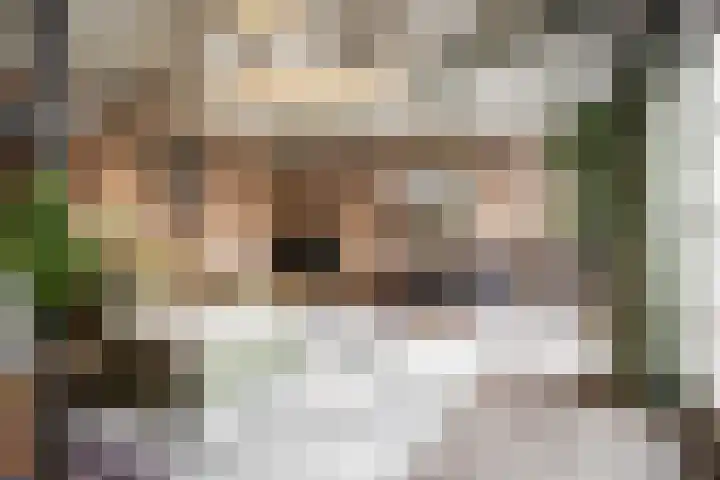 Houtvaartkade 36 Aerdenhout thumbnail 21