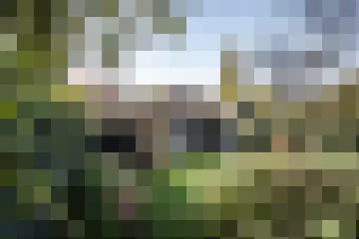 Houtvaartkade 36 Aerdenhout thumbnail 22