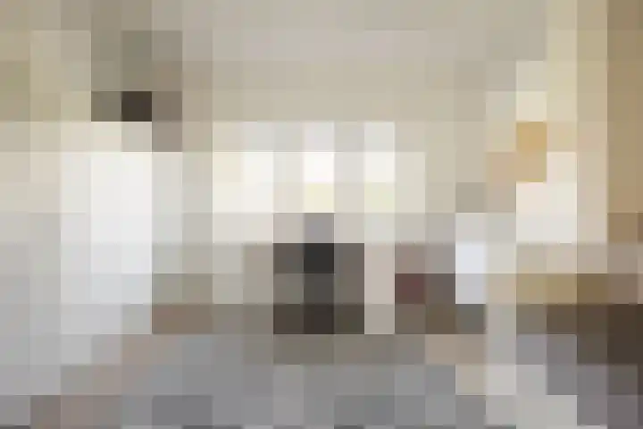 Houtvaartkade 36 Aerdenhout thumbnail 28