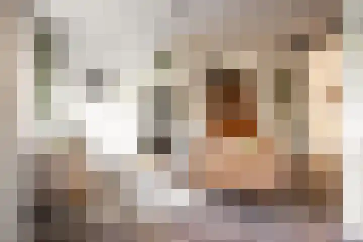 Houtvaartkade 36 Aerdenhout thumbnail 4