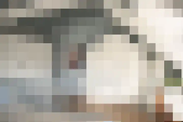 Houtvaartkade 36 Aerdenhout thumbnail 44