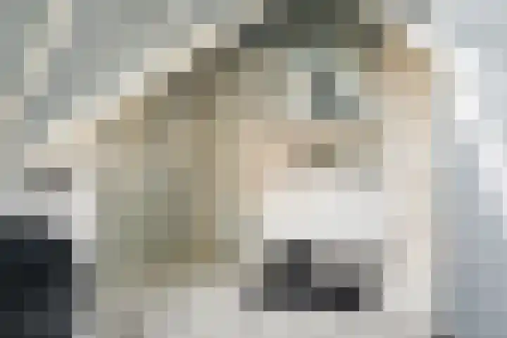 Houtvaartkade 36 Aerdenhout thumbnail 45
