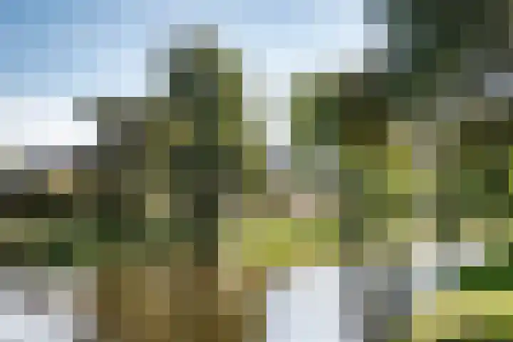 Houtvaartkade 36 Aerdenhout thumbnail 52