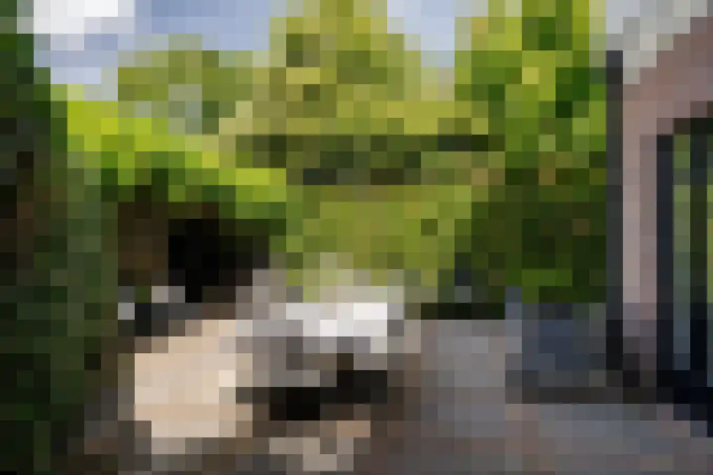 Houtvaartkade 42 Aerdenhout thumbnail 25