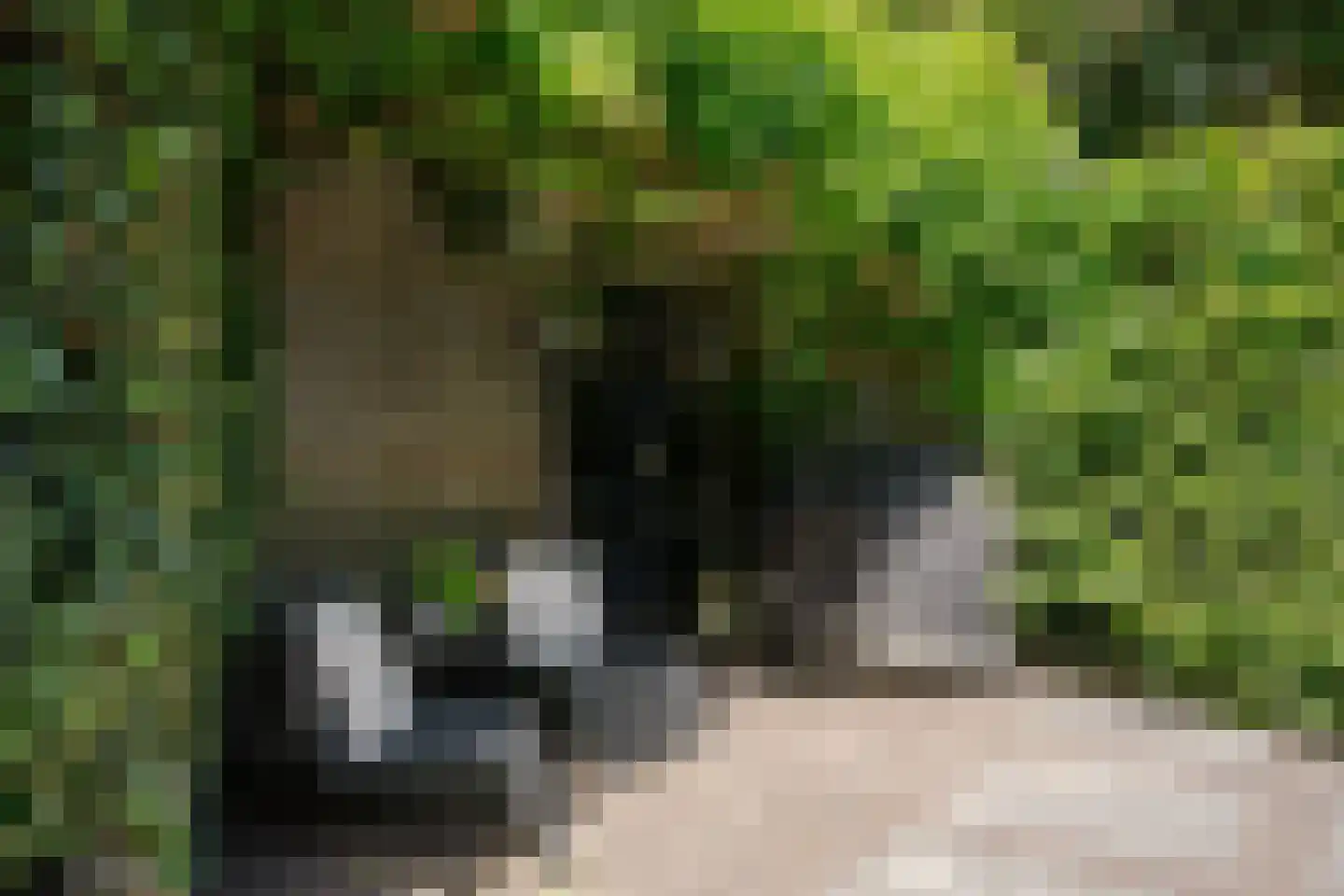 Houtvaartkade 42 Aerdenhout thumbnail 27