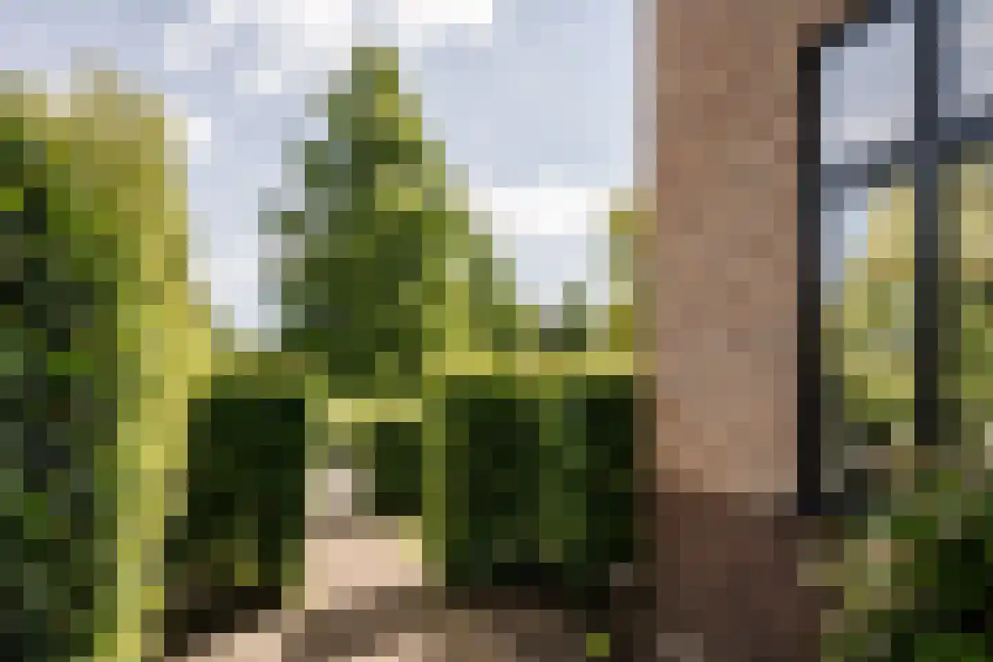 Houtvaartkade 42 Aerdenhout thumbnail 29