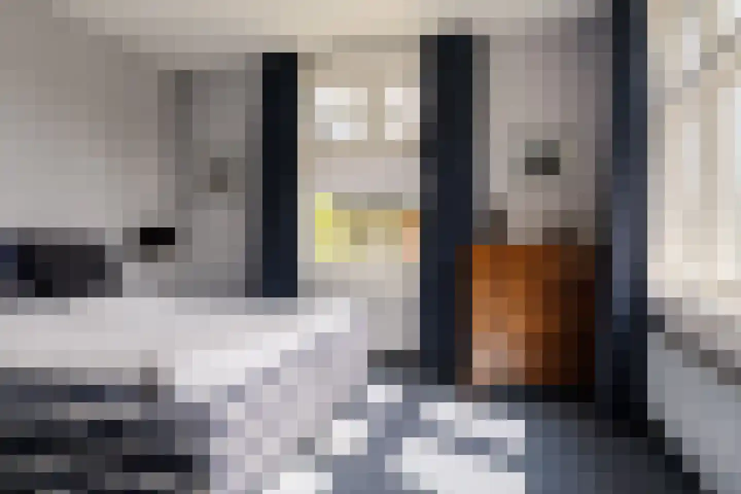 Houtvaartkade 42 Aerdenhout thumbnail 34
