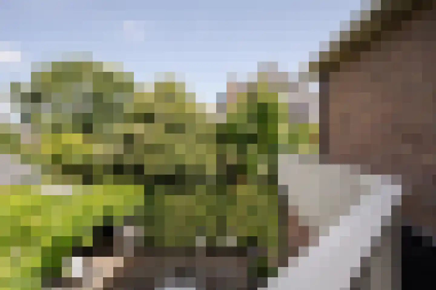 Houtvaartkade 42 Aerdenhout thumbnail 40