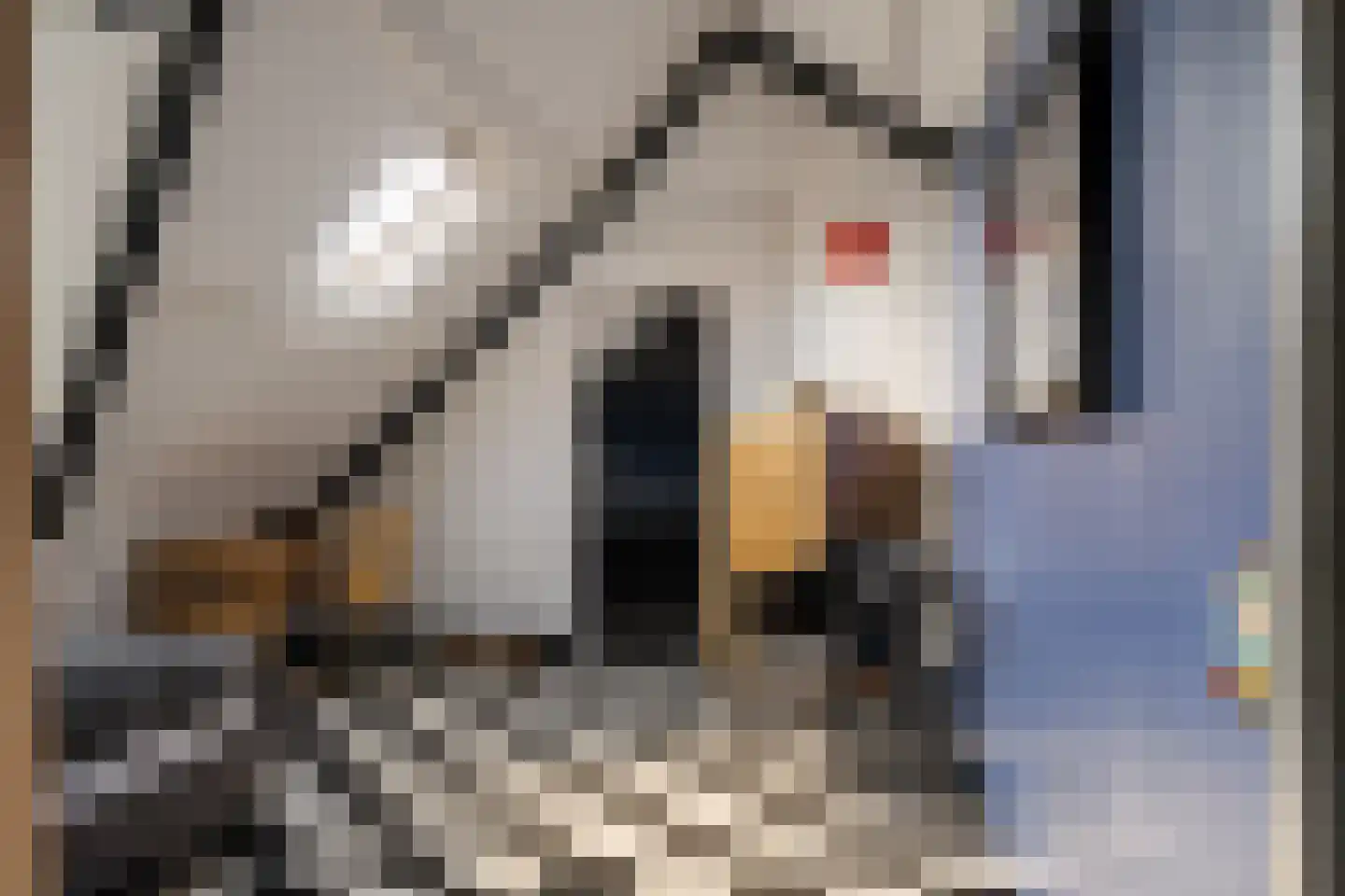 Houtvaartkade 42 Aerdenhout thumbnail 52