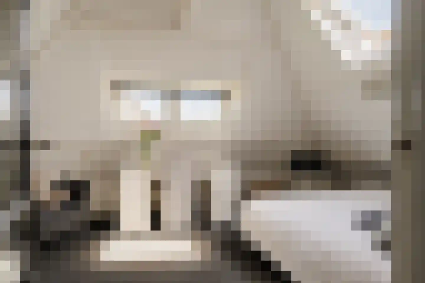 Houtvaartkade 42 Aerdenhout thumbnail 57