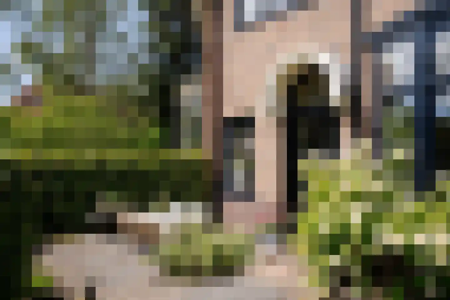Houtvaartkade 42 Aerdenhout thumbnail 7