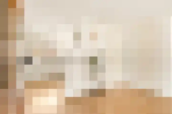 Houtvaartkade 7 Aerdenhout thumbnail 12