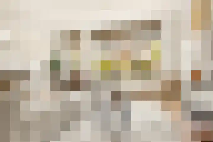 Houtvaartkade 7 Aerdenhout thumbnail 15