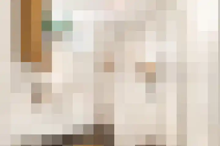 Houtvaartkade 7 Aerdenhout thumbnail 27