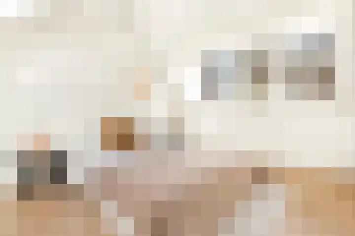 Houtvaartkade 7 Aerdenhout thumbnail 39
