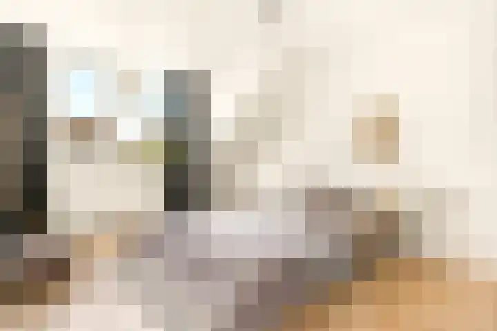Houtvaartkade 7 Aerdenhout thumbnail 4