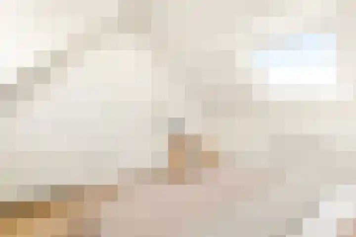 Houtvaartkade 7 Aerdenhout thumbnail 42