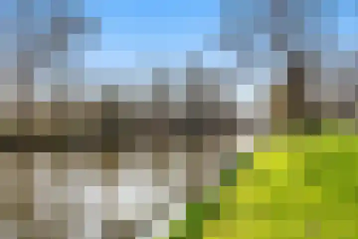 Houtvaartkade 7 Aerdenhout thumbnail 44