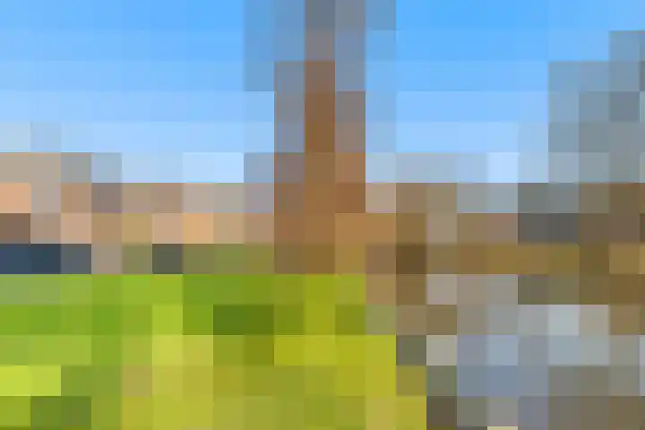 Houtvaartkade 7 Aerdenhout thumbnail 45