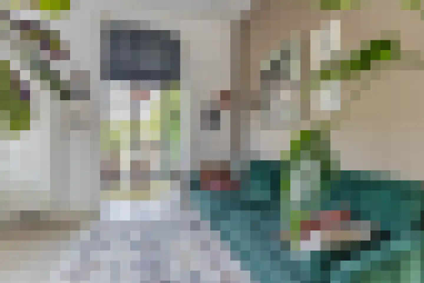 Houtvaartpad 14 Haarlem thumbnail 12