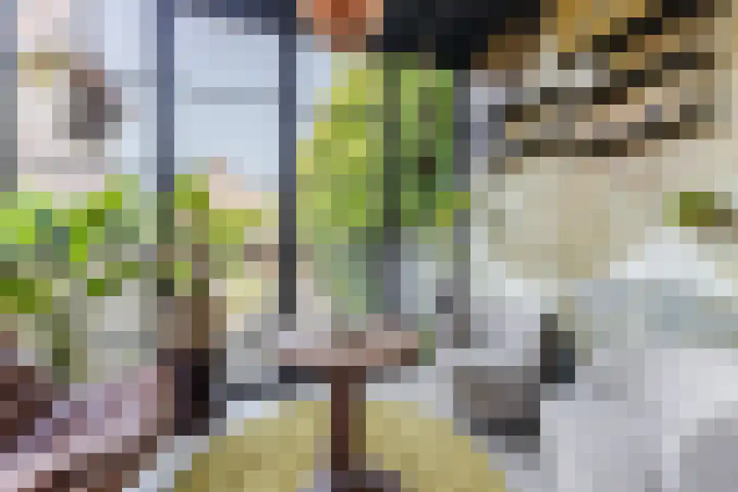 Houtvaartpad 14 Haarlem thumbnail 15