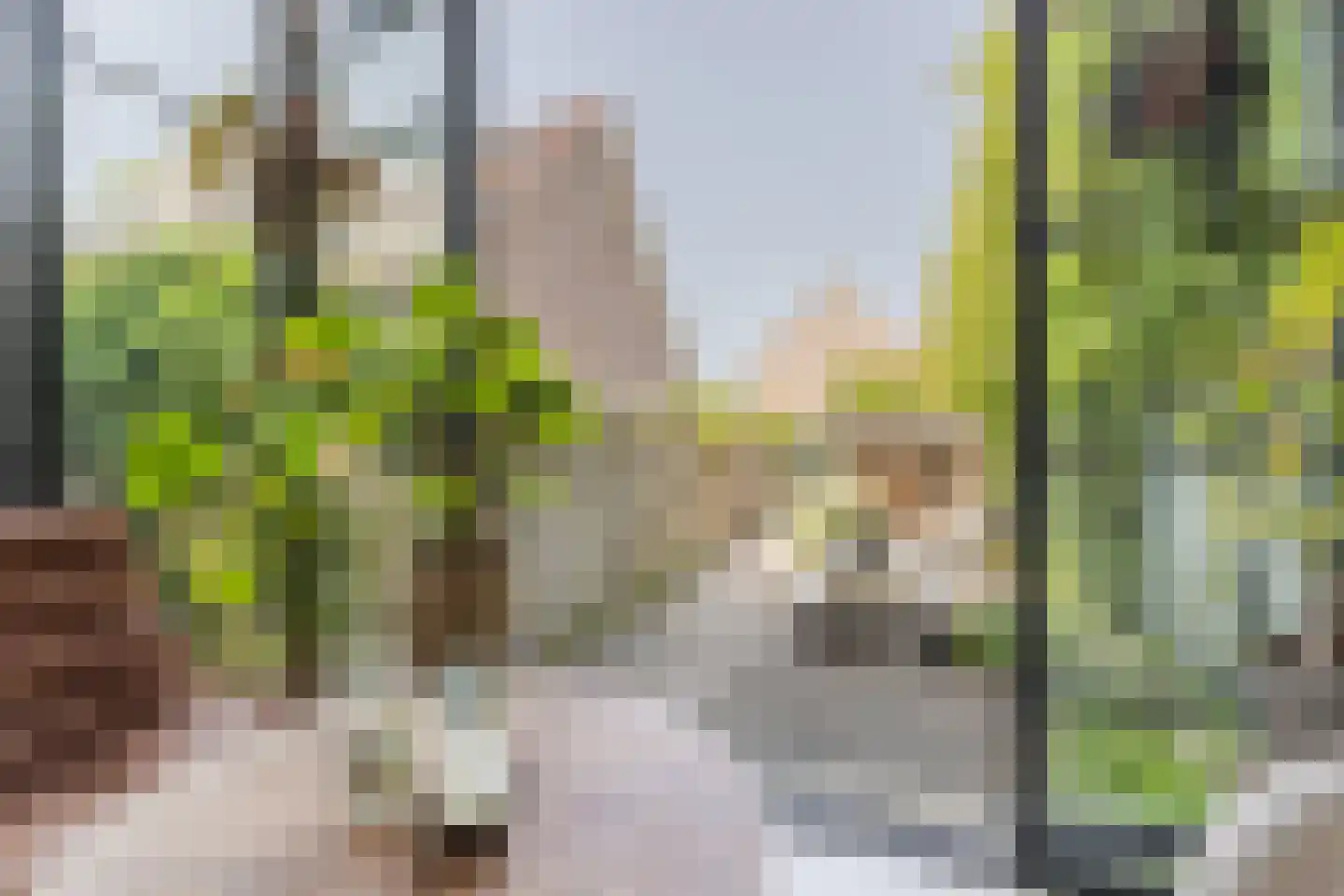 Houtvaartpad 14 Haarlem thumbnail 16