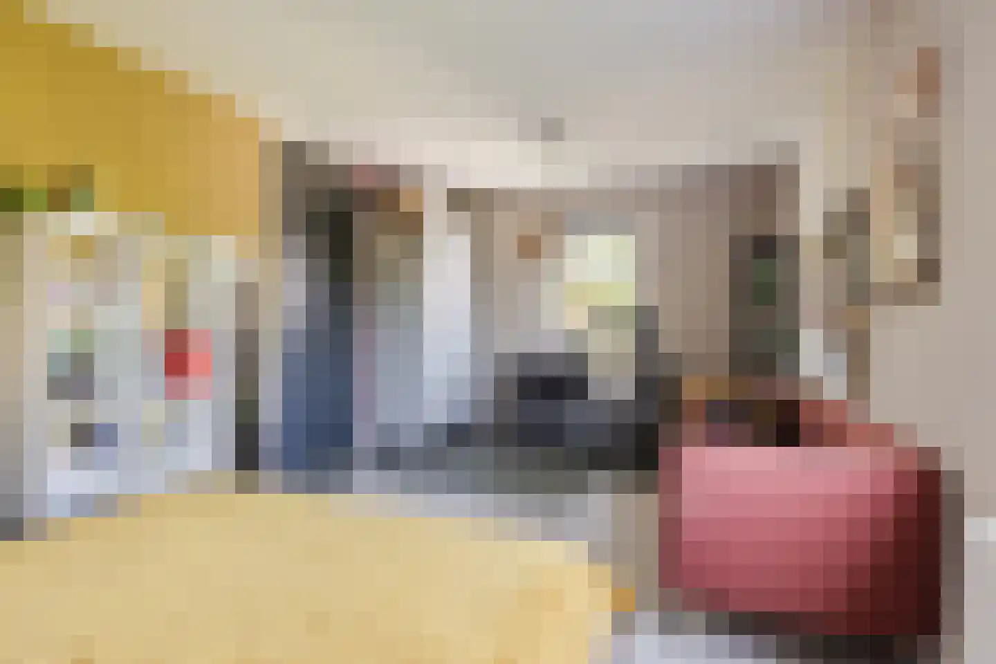 Houtvaartpad 14 Haarlem thumbnail 19