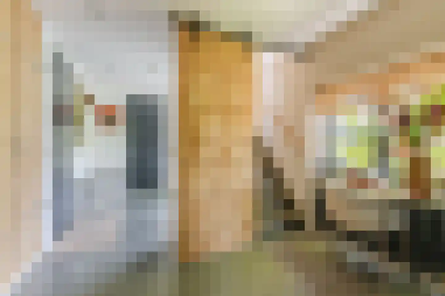 Houtvaartpad 14 Haarlem thumbnail 23