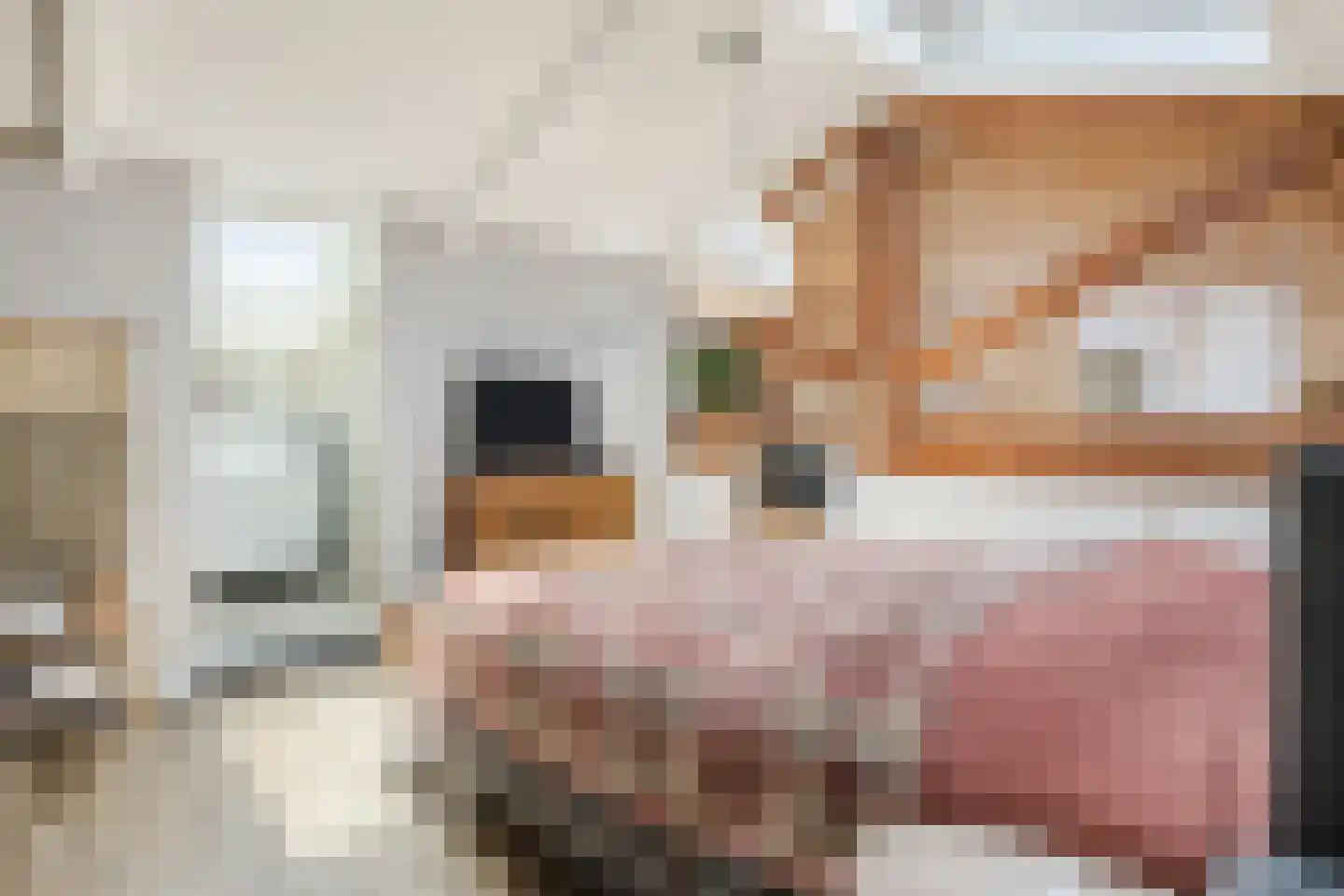 Houtvaartpad 14 Haarlem thumbnail 24