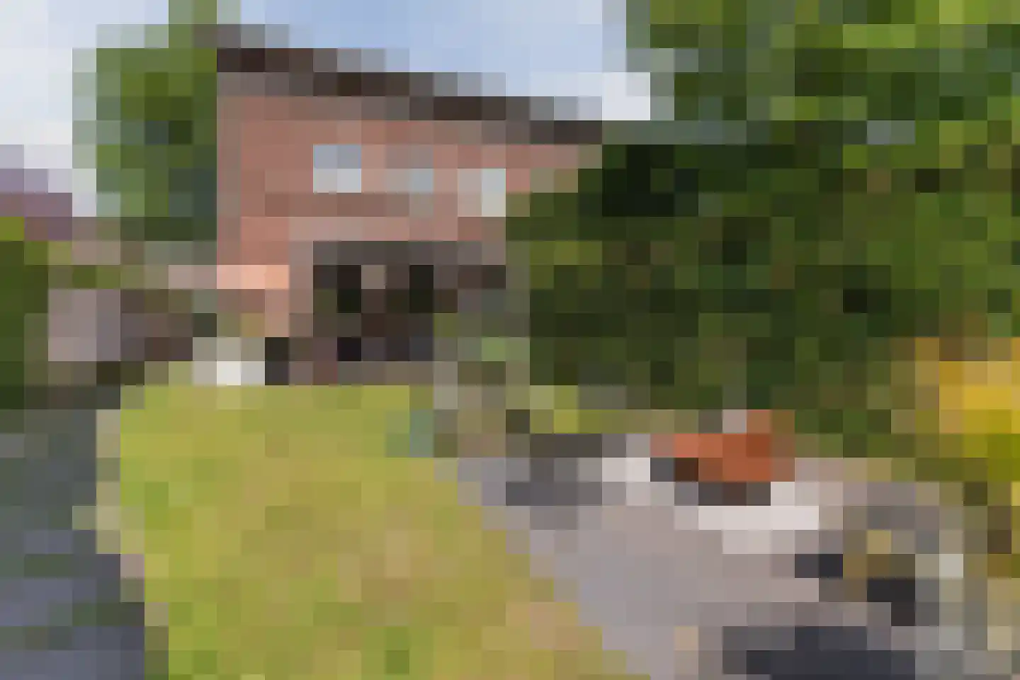 Houtvaartpad 14 Haarlem thumbnail 30