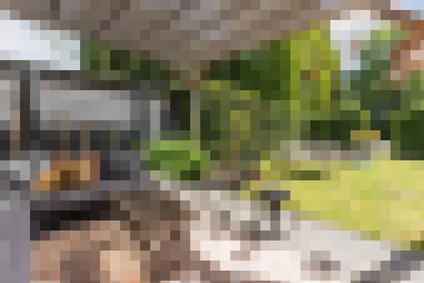 Houtvaartpad 14 Haarlem thumbnail 31