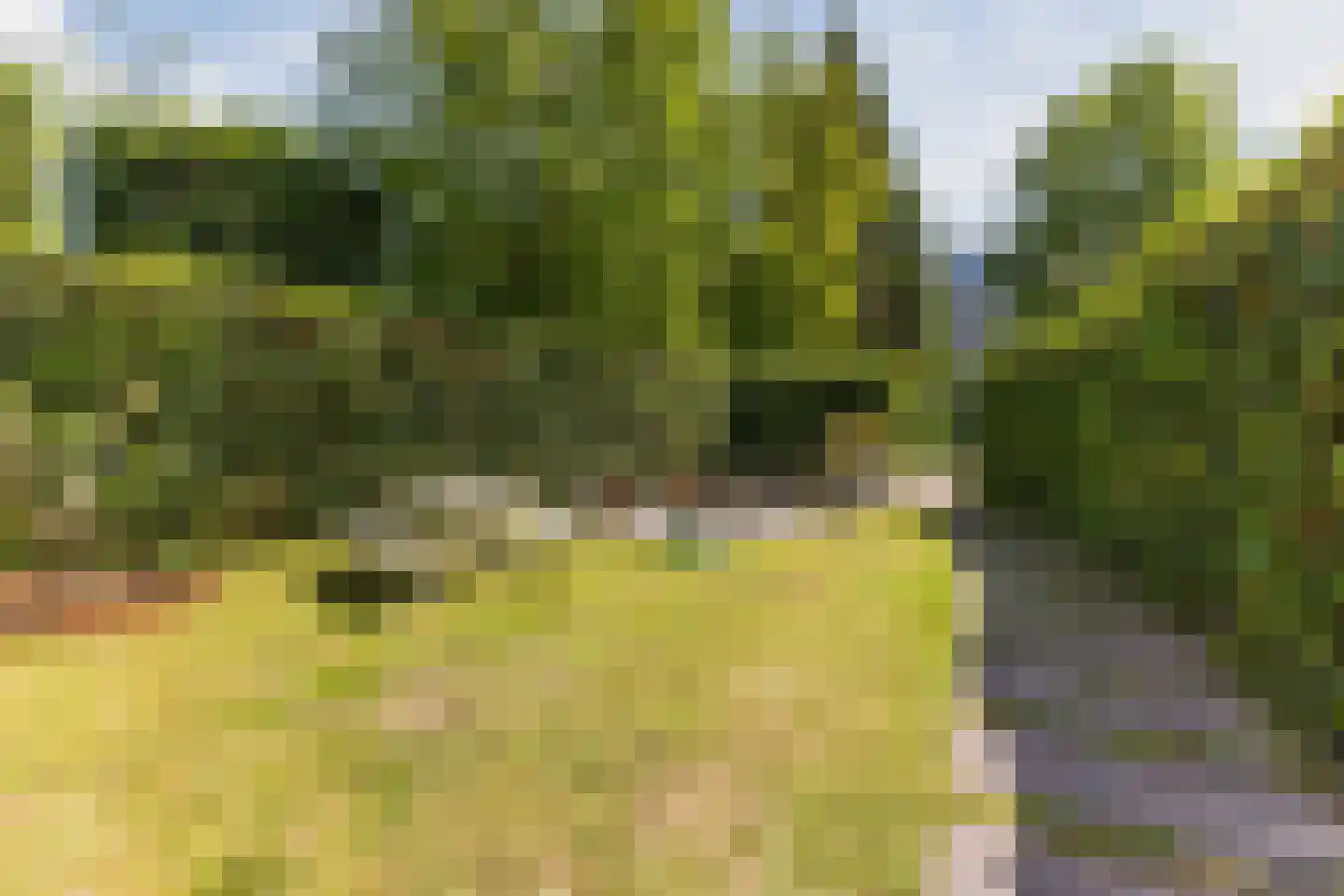 Houtvaartpad 14 Haarlem thumbnail 32