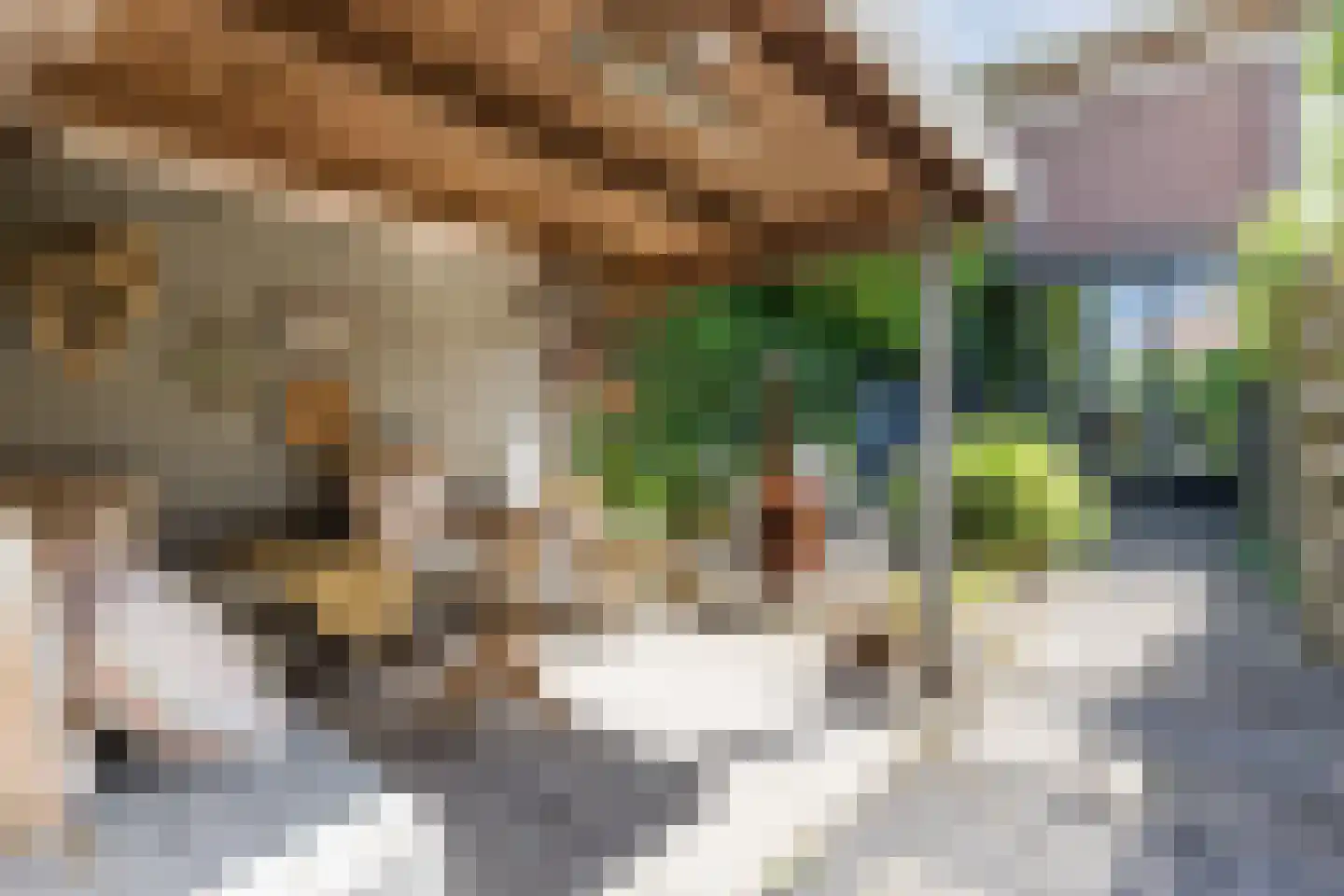 Houtvaartpad 14 Haarlem thumbnail 4