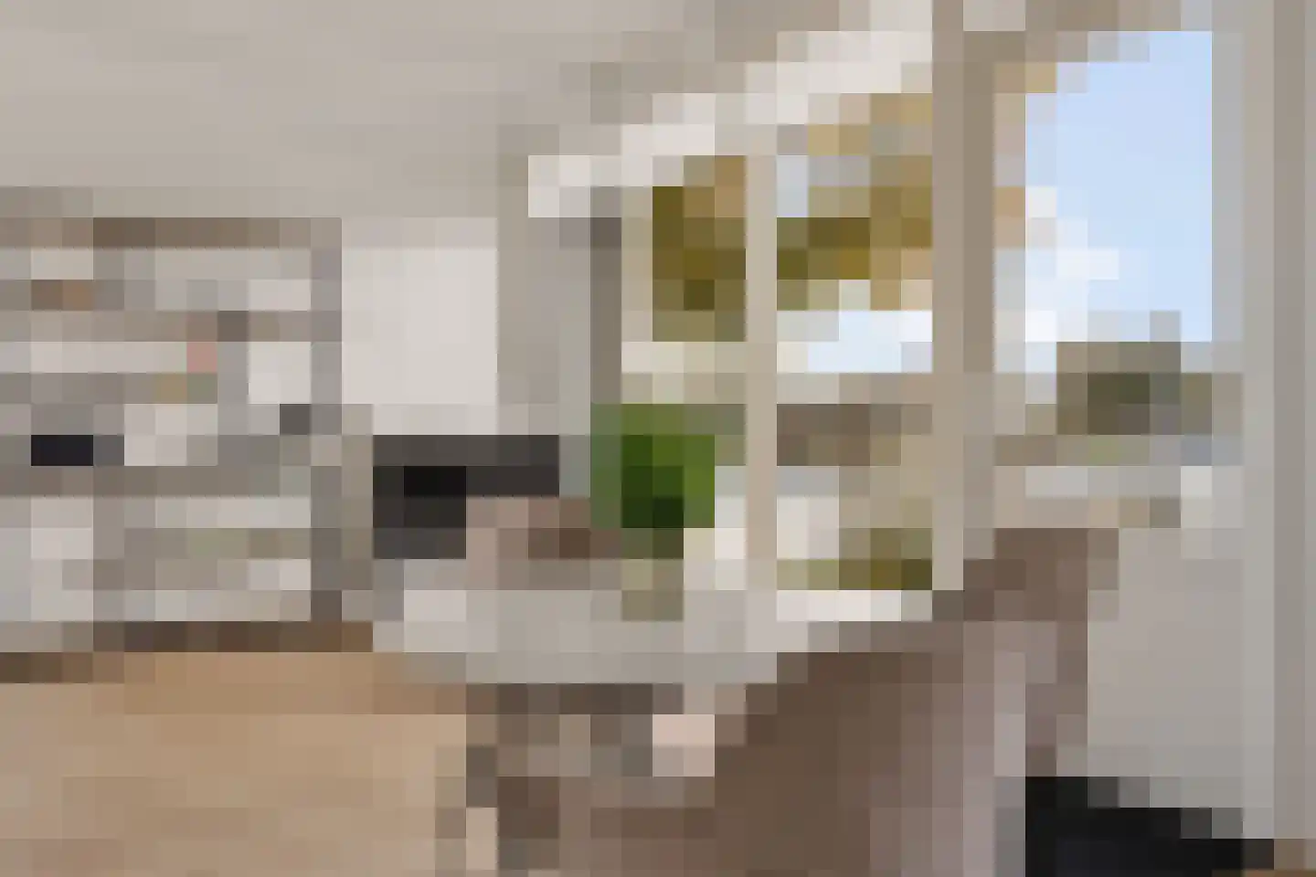 Houtvaartweg 11 Boornzwaag thumbnail 10
