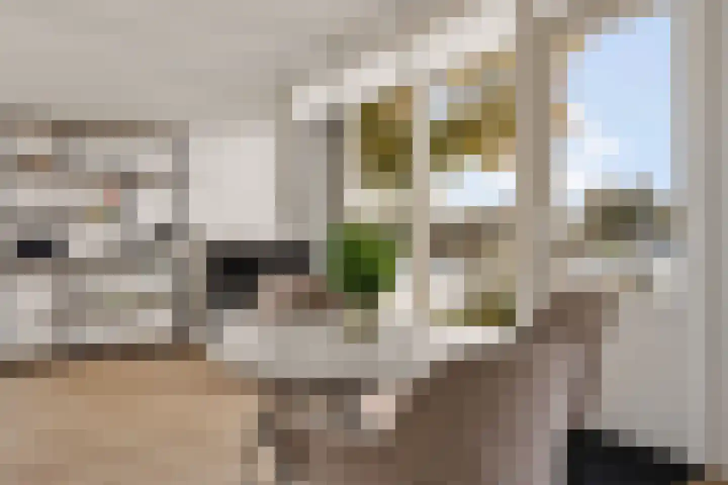 Houtvaartweg 11 Boornzwaag thumbnail 10