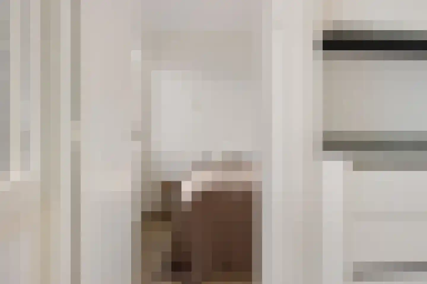 Houtvaartweg 11 Boornzwaag thumbnail 13