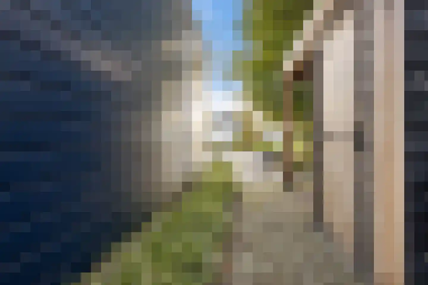 Houtvaartweg 11 Boornzwaag thumbnail 32