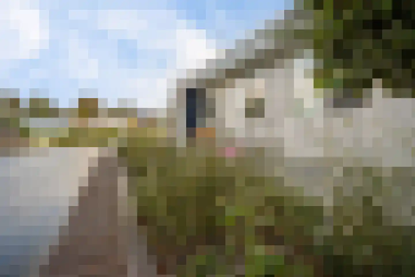 Houtvaartweg 11 Boornzwaag thumbnail 33