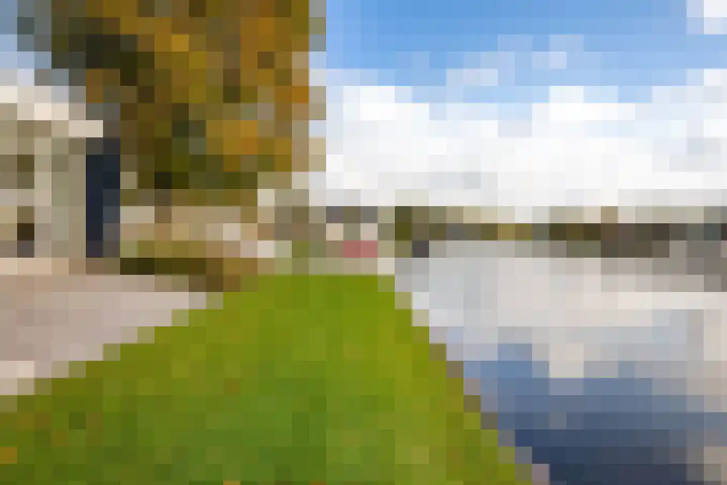 Houtvaartweg 11 Boornzwaag thumbnail 43