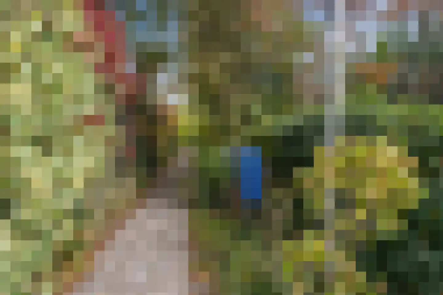 Houtvaartweg 11 Boornzwaag thumbnail 50