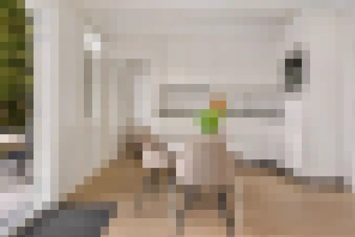 Houtvaartweg 11 Boornzwaag thumbnail 7